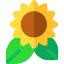Sunflower ícono 64x64