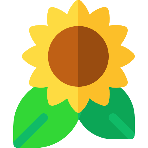 Sunflower icon