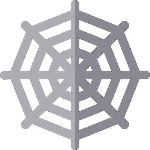 Spider web 상