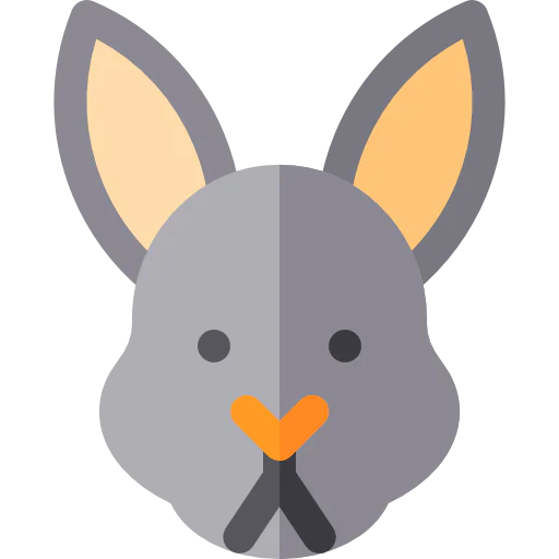 Rabbit 图标