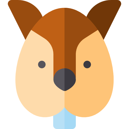 Squirrel icon