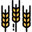 Wheat icon 64x64