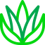 Aloe vera 图标 64x64