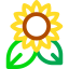 Sunflower 图标 64x64