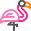 Flamingo 图标 64x64