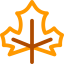 Leaf 图标 64x64