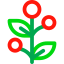Holly 图标 64x64