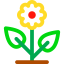 Flower 图标 64x64