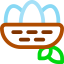 Nest 图标 64x64