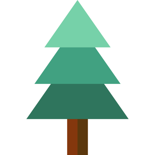 Pine 상