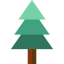 Pine icon 64x64