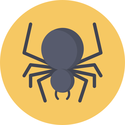 Spider icon