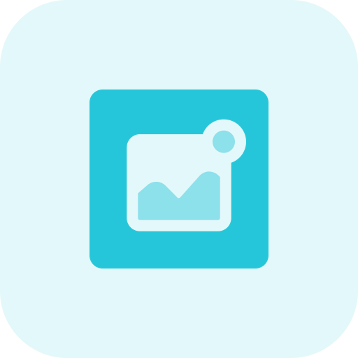 Wireframe icon