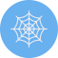 Spider web icône 64x64