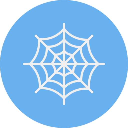 Spider web icon