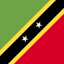 Saint kitts and nevis 상 64x64