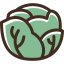 Lettuce icon 64x64