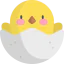 Chick icon 64x64
