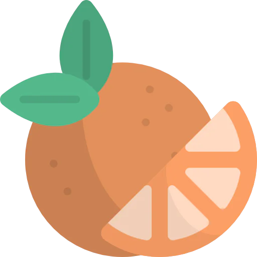 Orange icon