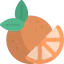 Orange icon 64x64
