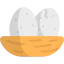 Nest icon 64x64