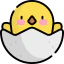 Chick icon 64x64