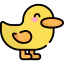 Duck icon 64x64