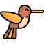 Hummingbird icon 64x64