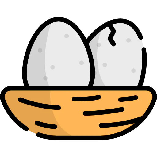 Nest 상