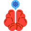Brain icône 64x64