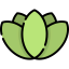 Lotus icon 64x64