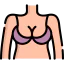 Brassiere icon 64x64
