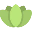 Lotus icon 64x64