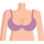 Brassiere icon 64x64