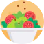 Salad icon 64x64