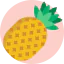 Pineapple icon 64x64