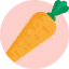 Carrot icon 64x64