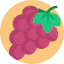 Grape icon 64x64
