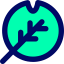 Leaf biểu tượng 64x64