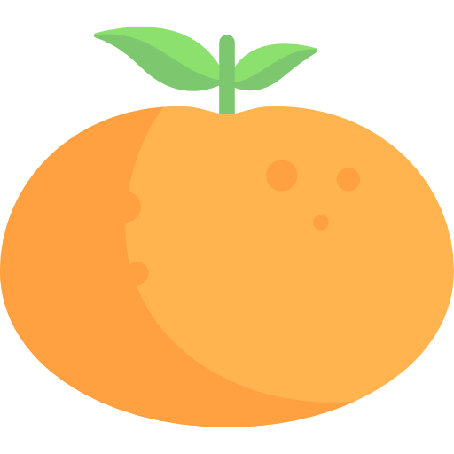 Orange icon