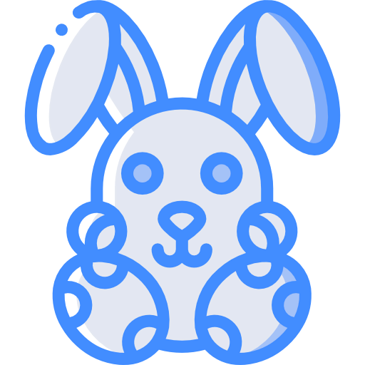 Rabbit 상