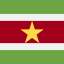 Suriname icon 64x64