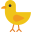 Bird icon 64x64