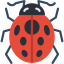 Ladybug icon 64x64