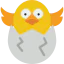 Chick icon 64x64