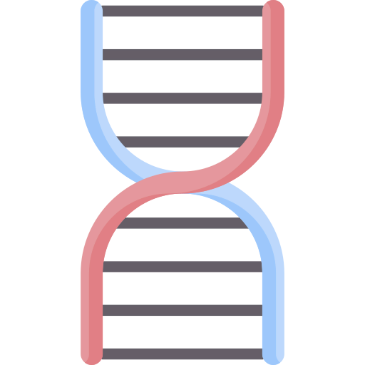Dna structure 图标