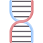 Dna structure 상 64x64