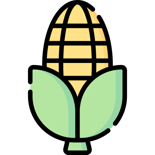 Corn icon