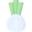 Onion icon 64x64