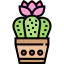 Cactus icon 64x64